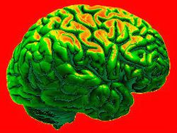 Ученые: старение мозга начинается в 43 года
