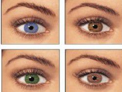 Цвет глаз влияет на склонность человека к алкоголизму