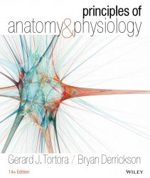Principles of Anatomy and Physiology, 14 Edition
