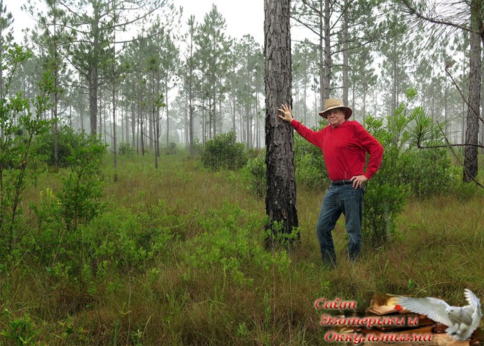 Человек высадил 8 млн деревьев - «Эзотерика»