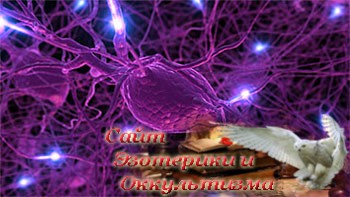 Нервная система: 10 заблуждений и мифов - «Эзотерика»