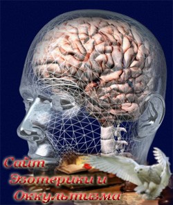 Новая нейрофизиология телесности - «Эзотерика»