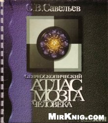Стереоскопический атлас мозга человека