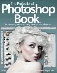 The Professional Photoshop Book, Volume 1