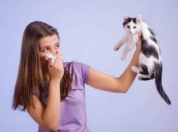 В Британии кошки заражают людей туберкулезом