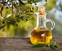 Оливковое масло защищает организм от загрязнений воздуха