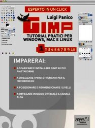 GIMP. Tutorial pratici per Windows, Mac e Linux. Livello 1 di Luigi Panico