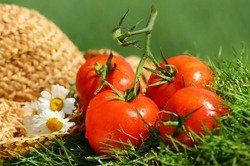 Употребление помидоров меняет запах пота