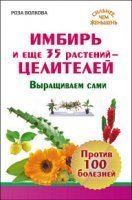 Имбирь и еще 35 растений-целителей. Выращиваем сами. Против 100 болезней