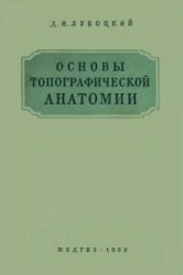 Основы топографической анатомии