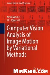 Computer Vision Analysis of Image Motion by Variational Methods