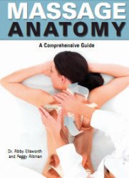 Massage Anatomy