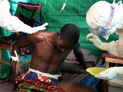Медики нашли средство, которое может обезоружить вирус Эбола