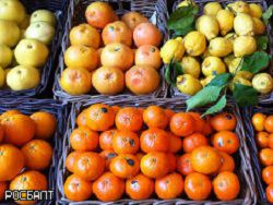 Диетологи: сок грейпфрута помогает похудеть