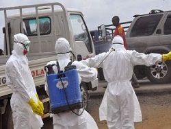 Эбола, или сколько стоит страх?