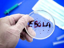 Эбола: информационная эпидемия