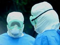 Новая угроза: вирус Эбола начал мутировать