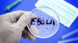 О вирусе Эбола снимут фильм