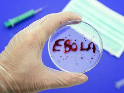 Три лаборатории США начнут производство препарата против Эболы