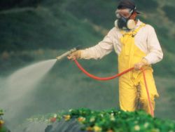 Продукты с пестицидами и бесплодие