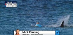 Известный сёрфингист Мик Фэннинг подвергся нападению акулы во время выступления в прямом эфире