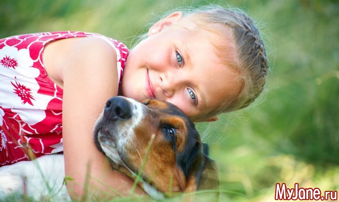 Собака и ребенок – вместе веселее! Какие породы выбрать?