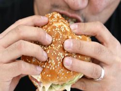 Большинство гамбургеров в США содержат фекалии