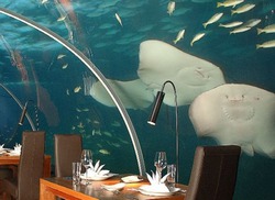 На Мальдивах открыли первый в мире подводный ресторан