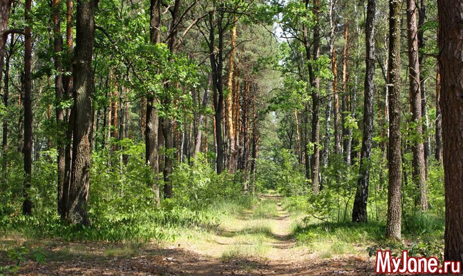 Тайны Шатурского края