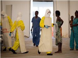 ВОЗ назвала сроки избавления Африки от вируса Эбола