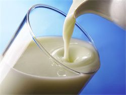 Вся проверенная российская "молочка" вредна для здоровья