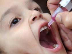 Роспотребнадзор: завоз полиомиелита из Украины - недопустим