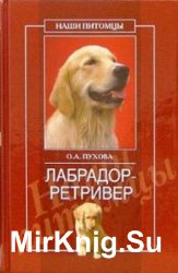 Лабрадор-ретривер - «РАЗНОЕ»