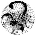 Предназначение знаков зодиака, и дар полученный каждым при рождении - «Эзотерика»