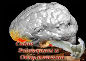 ЭЭГ мозга во время «божественного откровения» - «Эзотерика»