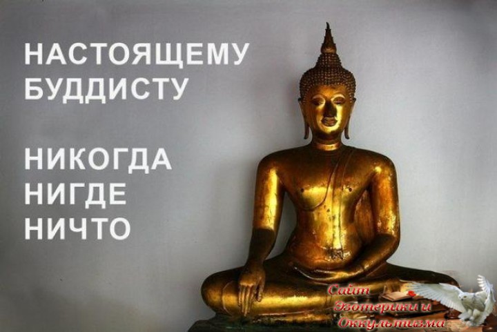 Нигде ничего не найду. Ничего буддизм. С днем рождения будлим. Ничто в буддизме. Поздравление буддисту.