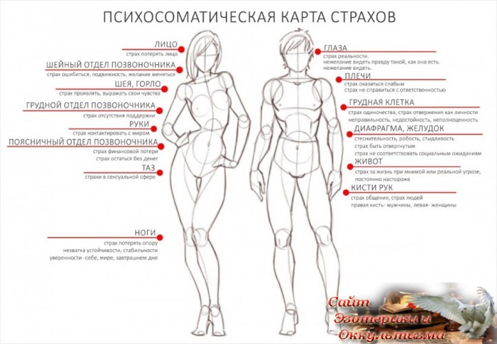 Сигналы тела. Телесная карта страхов. Эзотерика - Живое Знание - «Эзотерика»