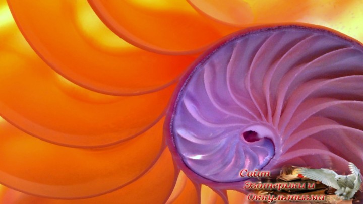 Низкая самооценка с точки зрения духовности. Духовная практика Архангела Михаила. Эзотерика - Живое Знание - «Эзотерика»