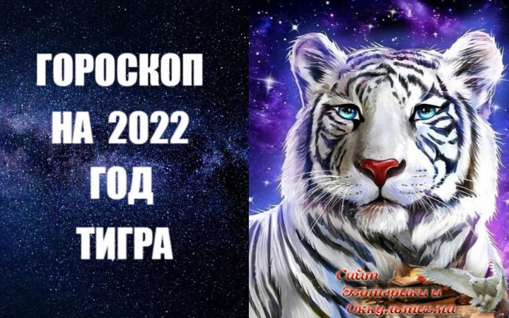 Гороскоп на 2022-й - Год Голубого Водяного Тигра. Эзотерика - Живое Знание - «Эзотерика»