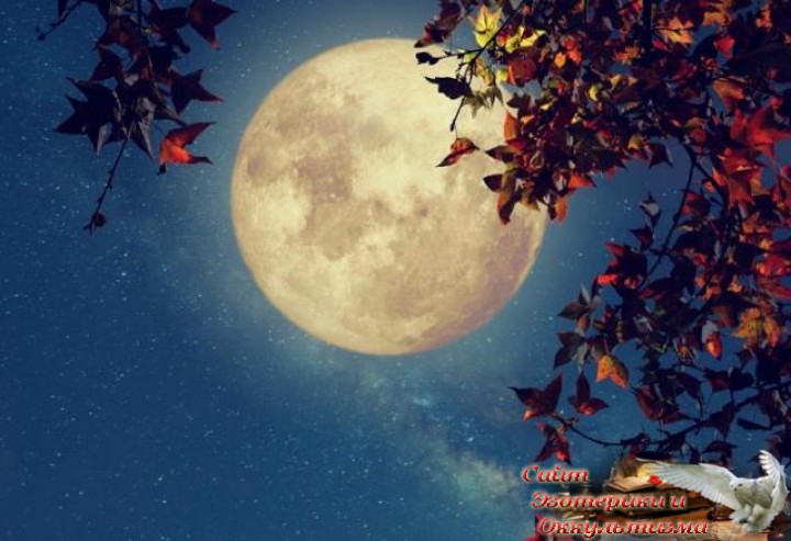 Полнолуние в Близнецах. Зимнее солнцестояние. Эзотерика - Живое Знание - «Эзотерика»