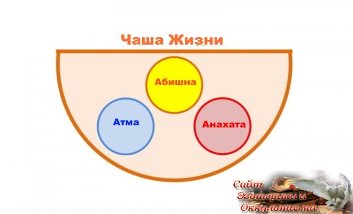 Стать Человеком. Чаша Жизни. Часть 2. Эзотерика - Живое Знание - «Эзотерика»