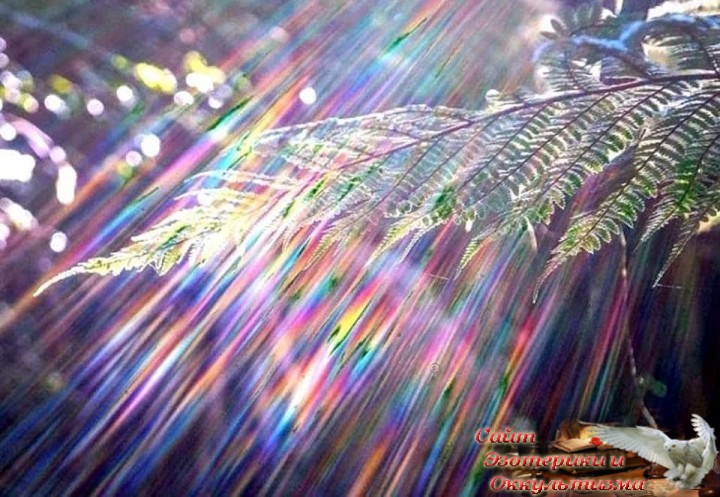 Вибрационный прогноз на июль 2022 года. Эзотерика - Живое Знание - «Эзотерика»