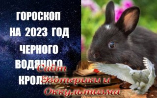 Гороскоп на 2023 год Черного Водяного Кролика (Кота). Эзотерика - Живое Знание - «Эзотерика»