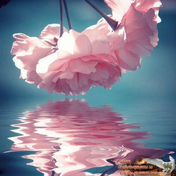 Как работает система "Анализ Подсознания". Эзотерика - Живое Знание - «Эзотерика»