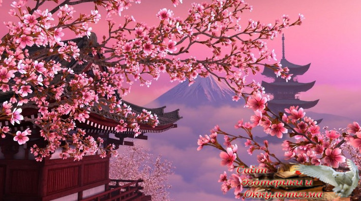 Лучшие даты в ноябре 2024 года для получения хороших результатов от действий. Эзотерика - Живое Знание - «Эзотерика»