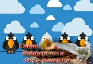 Когда ты — белая ворона в семье: почему так сложно менять систему. Эзотерика - Живое Знание - «Эзотерика»