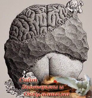 Удержание себя в нижнем уме тормозит развитие высшего. Эзотерика - Живое Знание - «Эзотерика»