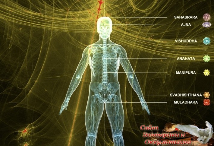 Феномен "суккуба": научный взгляд на таинственные эротические сны. Эзотерика - Живое Знание - «Эзотерика»