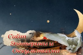К чему снятся овцы? - «Сонники»