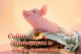 К чему снится поросенок во сне? - «Сонники»